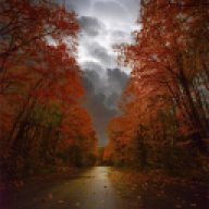 Street0897