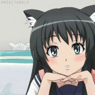 xKittySan