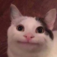 pnT__