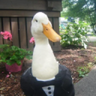 ducksrule39
