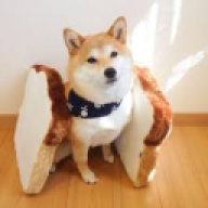 SCPData