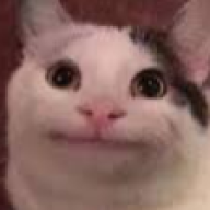 CatMan775