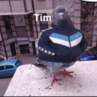 tim121