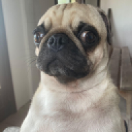 joaquim