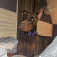 brady